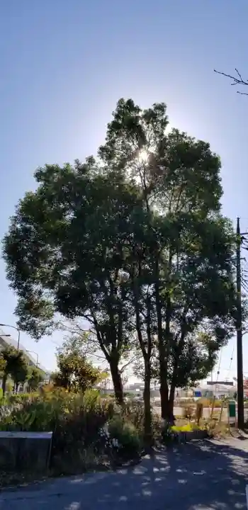 長沼白山神社(埼玉県)