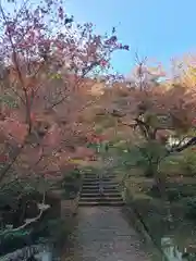 大洞院の建物その他