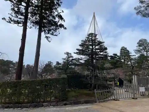 金澤神社(石川県)