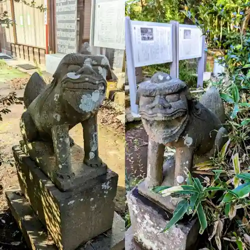 飯綱神社の狛犬