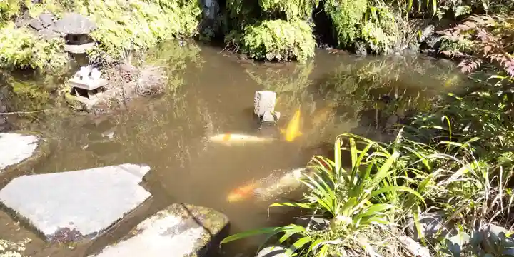 大綱金刀比羅神社の自然