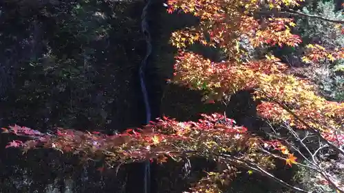 榛名神社の自然