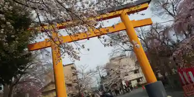 平野神社(京都府)