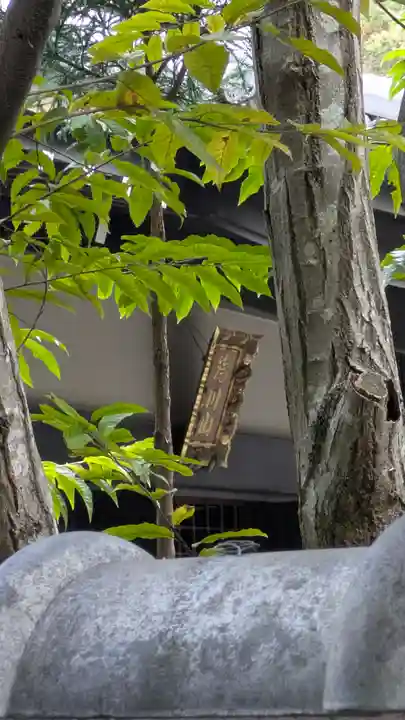 澄江寺(京都府)