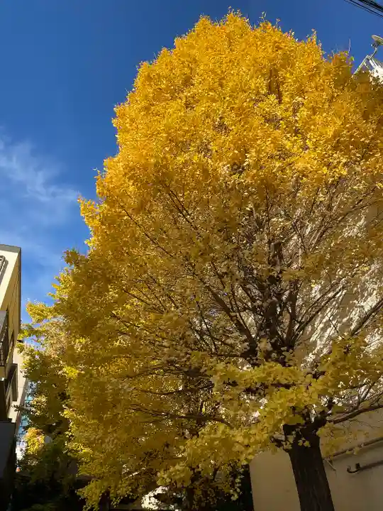 銀杏岡八幡神社(東京都)
