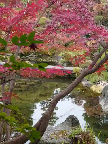 題経寺（柴又帝釈天）の{uncategorized: "未分類", other: "その他", undefined: "問題あり", building: "その他建物", grave: "お墓", sacred_gate: "鳥居", guardian: "狛犬", statue: "像", buddha: "仏像", history: "歴史", nature: "自然", garden: "庭園", animal: "動物", pagoda: "塔", temizu: "手水舎", mountain_gate: "山門・神門", sanctuary: "本殿・本堂", subordinate: "末社・摂社", art: "芸術", scenery: "景色", jizo: "地蔵", ema: "絵馬", goshuin: "御朱印", omikuji: "おみくじ", items: "授与品その他", amulet: "お守り", goshuincho: "御朱印帳", eats: "食事", festival: "お祭り", votive_dance: "神楽", shichigosan: "七五三参", wedding: "結婚式", experience: "体験その他", initially: "初詣", around: "周辺", anti_infection: "感染症対策"}