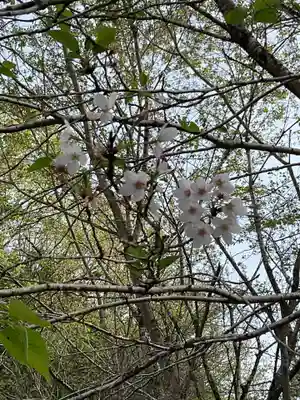 吉祥寺(岐阜県)