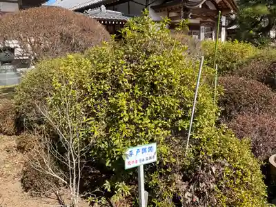 弘願寺(茨城県)