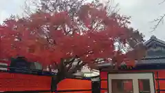 車折神社の自然