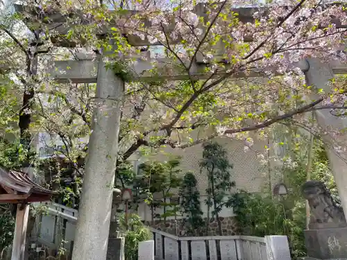 雉子神社の鳥居