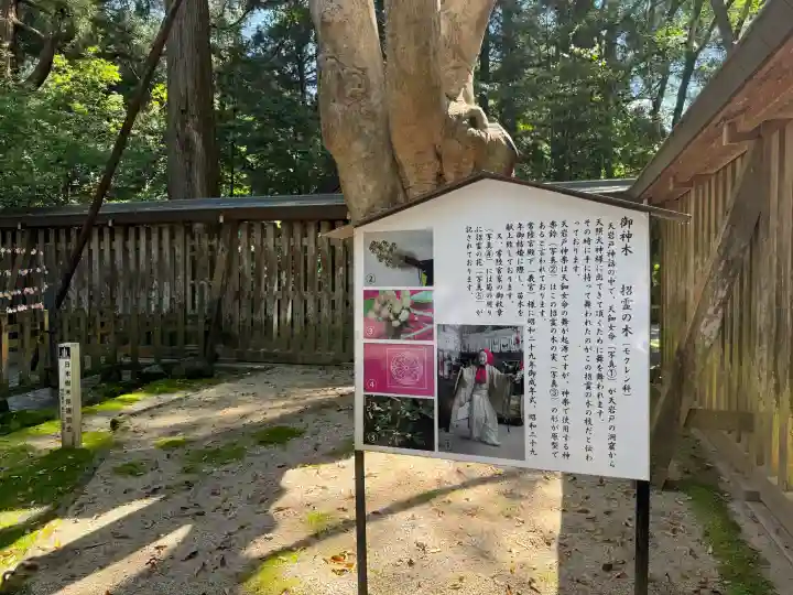 天岩戸神社の{uncategorized: "未分類", other: "その他", undefined: "問題あり", building: "その他建物", grave: "お墓", sacred_gate: "鳥居", guardian: "狛犬", statue: "像", buddha: "仏像", history: "歴史", nature: "自然", garden: "庭園", animal: "動物", pagoda: "塔", temizu: "手水舎", mountain_gate: "山門・神門", sanctuary: "本殿・本堂", subordinate: "末社・摂社", art: "芸術", scenery: "景色", jizo: "地蔵", ema: "絵馬", goshuin: "御朱印", omikuji: "おみくじ", items: "授与品その他", amulet: "お守り", goshuincho: "御朱印帳", eats: "食事", festival: "お祭り", votive_dance: "神楽", shichigosan: "七五三参", wedding: "結婚式", experience: "体験その他", initially: "初詣", around: "周辺", anti_infection: "感染症対策"}