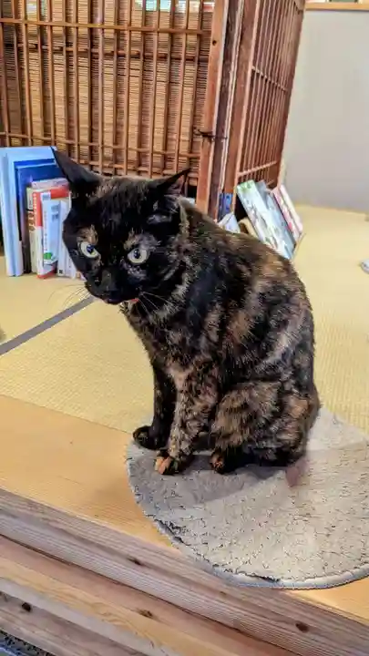 五十稲荷神社(栄寿稲荷神社)の動物