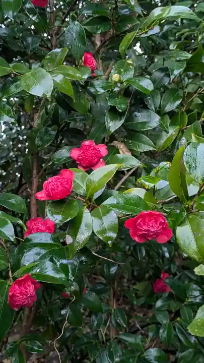 城南宮(京都府)