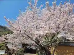 勝持寺（花の寺）(京都府)