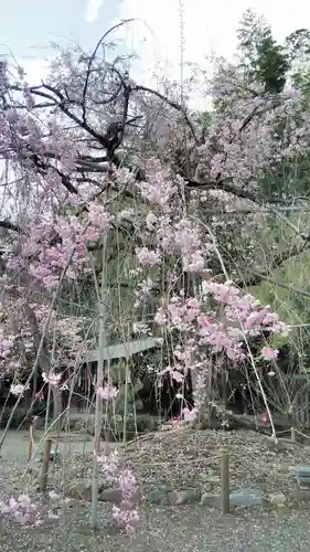 平野神社の庭園