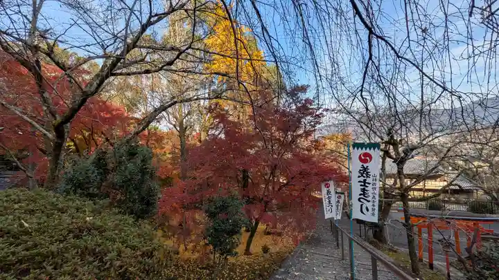 岩屋寺(京都府)
