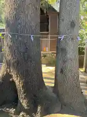 鶴嶺八幡宮の自然