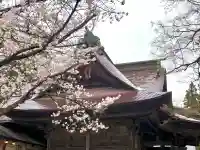蚊里田八幡宮の{uncategorized: "未分類", other: "その他", undefined: "問題あり", building: "その他建物", grave: "お墓", sacred_gate: "鳥居", guardian: "狛犬", statue: "像", buddha: "仏像", history: "歴史", nature: "自然", garden: "庭園", animal: "動物", pagoda: "塔", temizu: "手水舎", mountain_gate: "山門・神門", sanctuary: "本殿・本堂", subordinate: "末社・摂社", art: "芸術", scenery: "景色", jizo: "地蔵", ema: "絵馬", goshuin: "御朱印", omikuji: "おみくじ", items: "授与品その他", amulet: "お守り", goshuincho: "御朱印帳", eats: "食事", festival: "お祭り", votive_dance: "神楽", shichigosan: "七五三参", wedding: "結婚式", experience: "体験その他", initially: "初詣", around: "周辺", anti_infection: "感染症対策"}