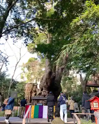 來宮神社(静岡県)