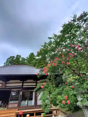 上合寺(福島県)