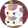 家猫さん