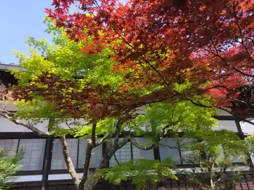 退耕庵(京都府)