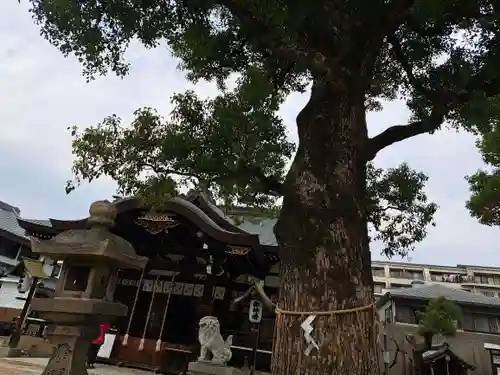 都留弥神社(大阪府)