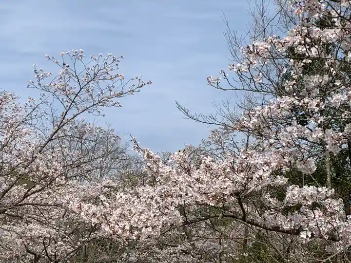 草谷天神社の自然