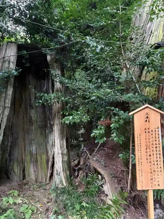 香取神宮(千葉県)