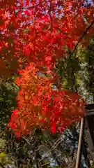 竹中稲荷神社（吉田神社末社）(京都府)