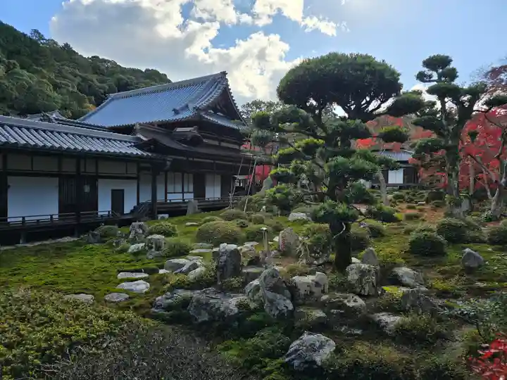 金剛寺(大阪府)