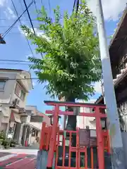 椚神社(奈良県)