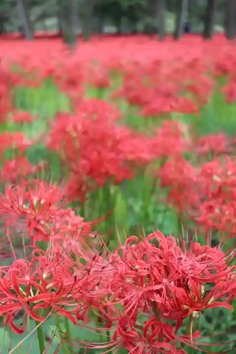九万八千神社(埼玉県)