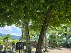 飛鳥寺(奈良県)