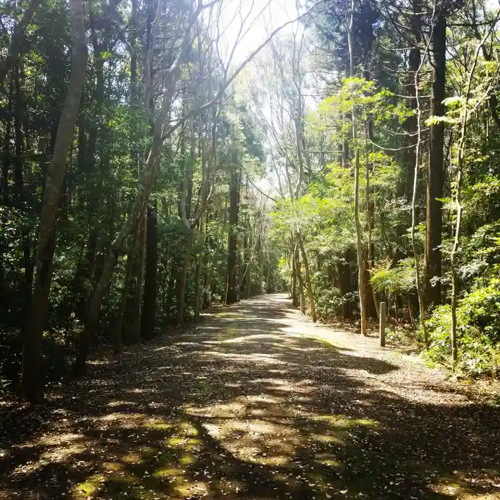 鹿島神宮の自然