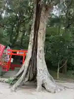 鶏石神社 (香椎宮境内摂社)(福岡県)