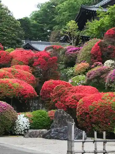 等覚院の庭園