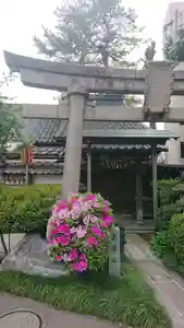 養智院の自然(2023年04月21日(金) 12時06分23秒投稿)