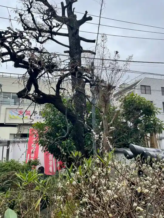 上聖寺の{uncategorized: "未分類", other: "その他", undefined: "問題あり", building: "その他建物", grave: "お墓", sacred_gate: "鳥居", guardian: "狛犬", statue: "像", buddha: "仏像", history: "歴史", nature: "自然", garden: "庭園", animal: "動物", pagoda: "塔", temizu: "手水舎", mountain_gate: "山門・神門", sanctuary: "本殿・本堂", subordinate: "末社・摂社", art: "芸術", scenery: "景色", jizo: "地蔵", ema: "絵馬", goshuin: "御朱印", omikuji: "おみくじ", items: "授与品その他", amulet: "お守り", goshuincho: "御朱印帳", eats: "食事", festival: "お祭り", votive_dance: "神楽", shichigosan: "七五三参", wedding: "結婚式", experience: "体験その他", initially: "初詣", around: "周辺", anti_infection: "感染症対策"}