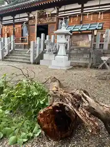 阿保神社(大阪府)(2026年06月04日(木) 07時39分46秒投稿)