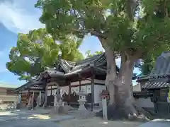 踞尾八幡神社(大阪府)