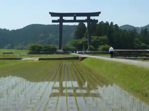 大斎原（熊野本宮大社旧社地）の鳥居