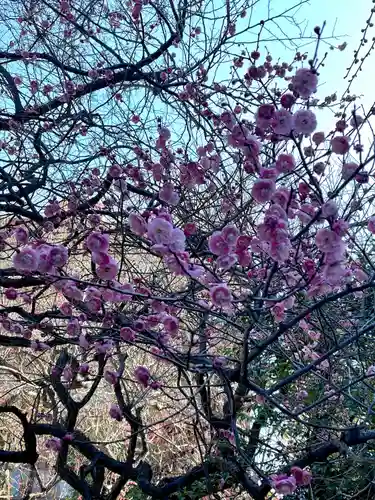 牛天神北野神社(東京都)