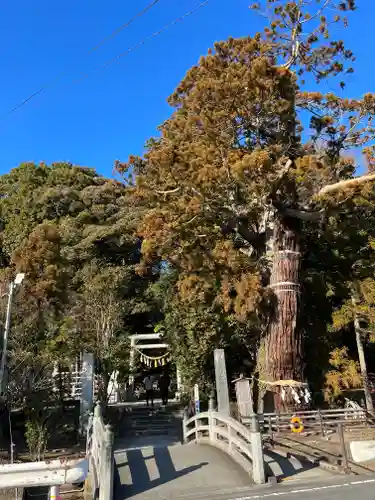 大國魂神社の鳥居