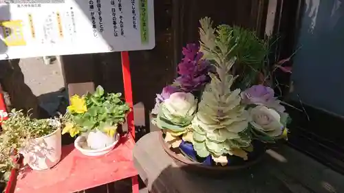 高円寺天祖神社(東京都)