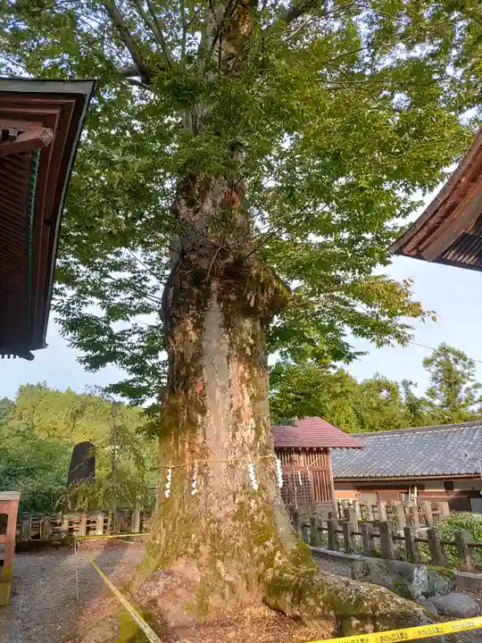 諏訪神社(群馬県)