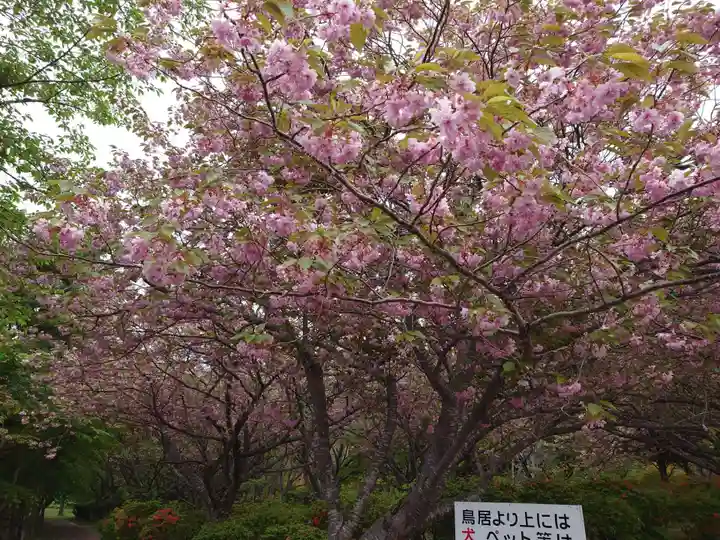 石崎地主海神社(北海道)