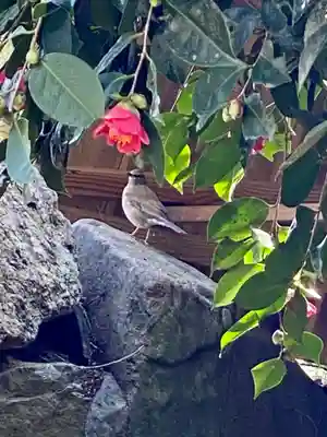 賀茂神社(兵庫県)