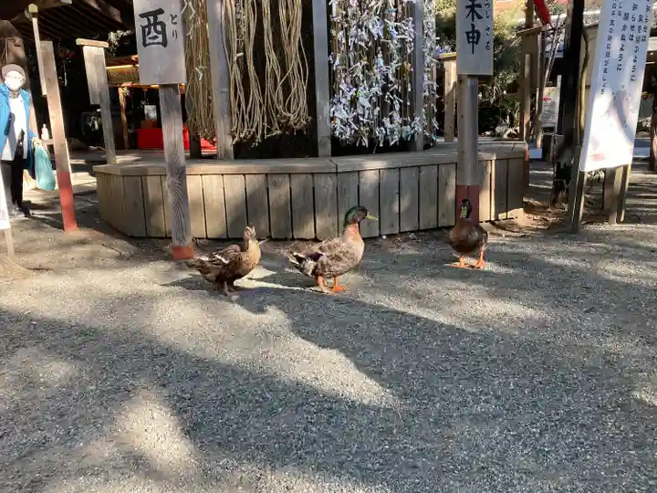 平塚八幡宮(神奈川県)
