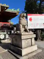 神田神社(神田明神)の狛犬